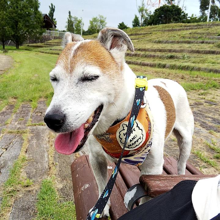 6458397e 31bb 4e94 b59a 8ea3b872a2dc 1567234243523