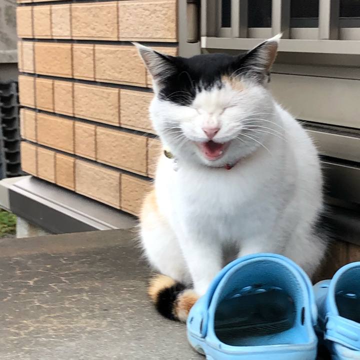 645851dd debb 4382 8d2b 4b957316a067 1606461237066