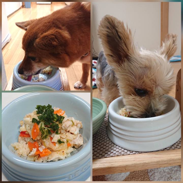 64589c03 415a 4f5a a558 f495b1eceeb2 1602932710460