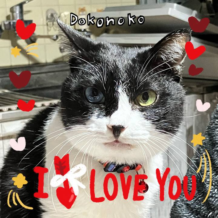 64589d11 97d2 499c ba1f 52b7e968daa1 1707041299501