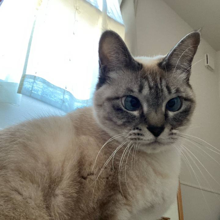 6458e5d7 4a79 4bc1 b97c 10958b4be18a 1641699220547