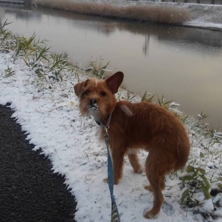 64591e91 e13d 4091 840b 33417429e34b 1544312485949