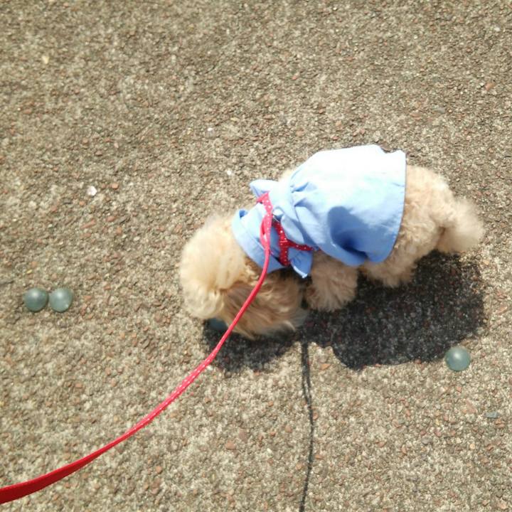 645933c7 f63c 42c0 a03b 6a19865f9ff4 1555734510540