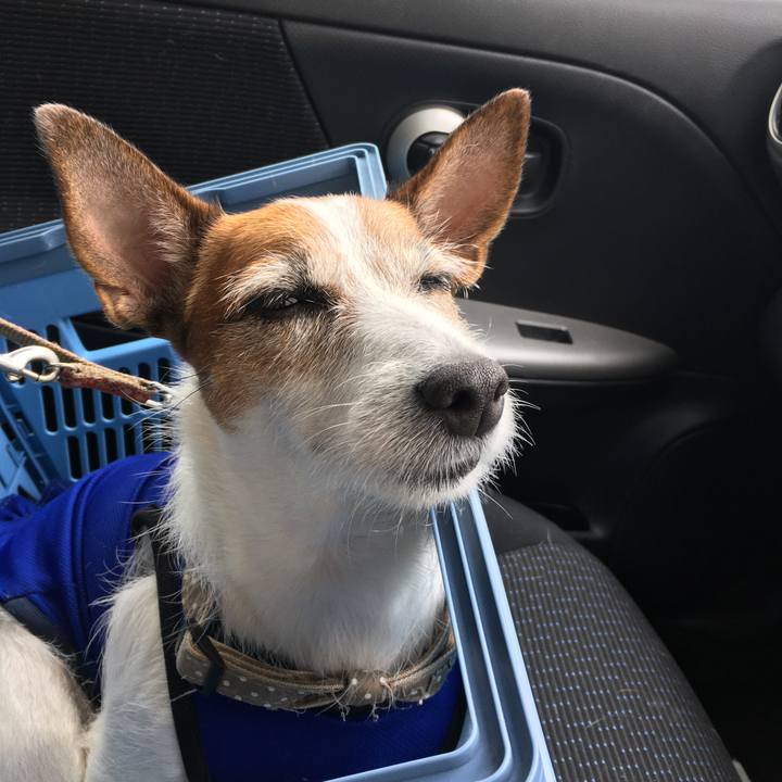 64596212 3c30 4a97 bb16 ff419a523f02 1594682767805