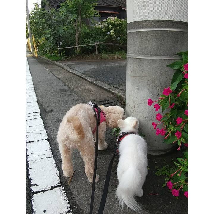 6459b175 25b5 4681 aa5d 19cb44354526 1626007493356