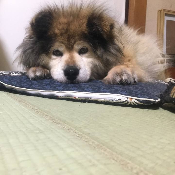 6459c3dc 77d7 4c4f bcdd 0417639991dc 1560223726695