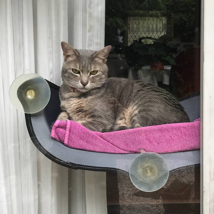 6459e076 f9b7 420f ad42 e605be116566 1620448268883