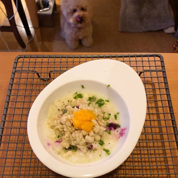 6459e17c 8595 40ea 9add ba86f573a776 1523226923932