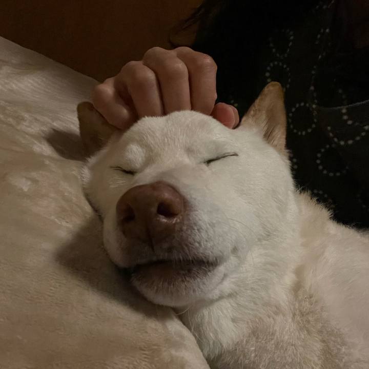 645a19ef 78f3 4ef0 9663 0b5a2061276b 1642339541965