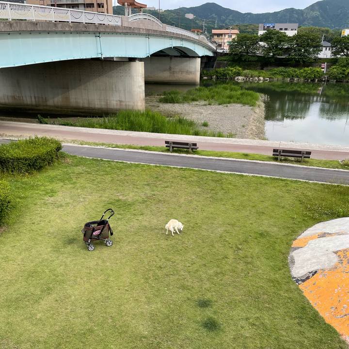 645a1e49 bc96 4a44 abd9 5159f2fcff30 1654099271494