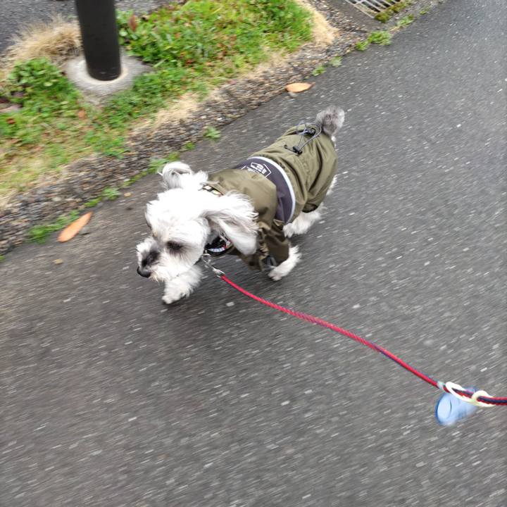 645a3d22 7ca1 4d3a 9a7a 0e370b43ec16 1740964257793