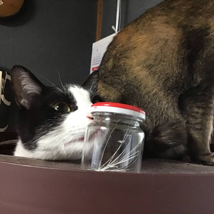 645a5e05 0f3b 42fd 9c01 4984f899ea56 1682499417735