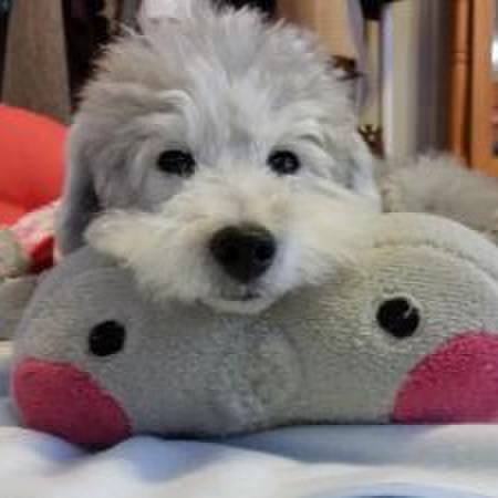 645a5f22 abc6 4f48 b247 c88352c71f7b 1547251091492