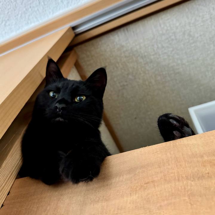 645aaefa 319a 4246 b65c fc6f0e87edf2 1749347628440