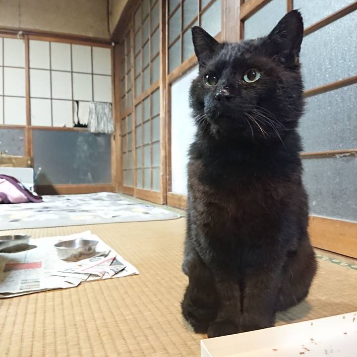 645ab981 2a3b 484a ac92 1dcf25f1e413 1619261730206