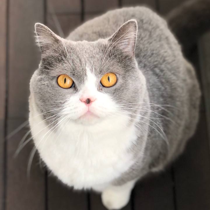 645ad923 3dfb 44d2 aed9 4c7b48265947 1582336701259