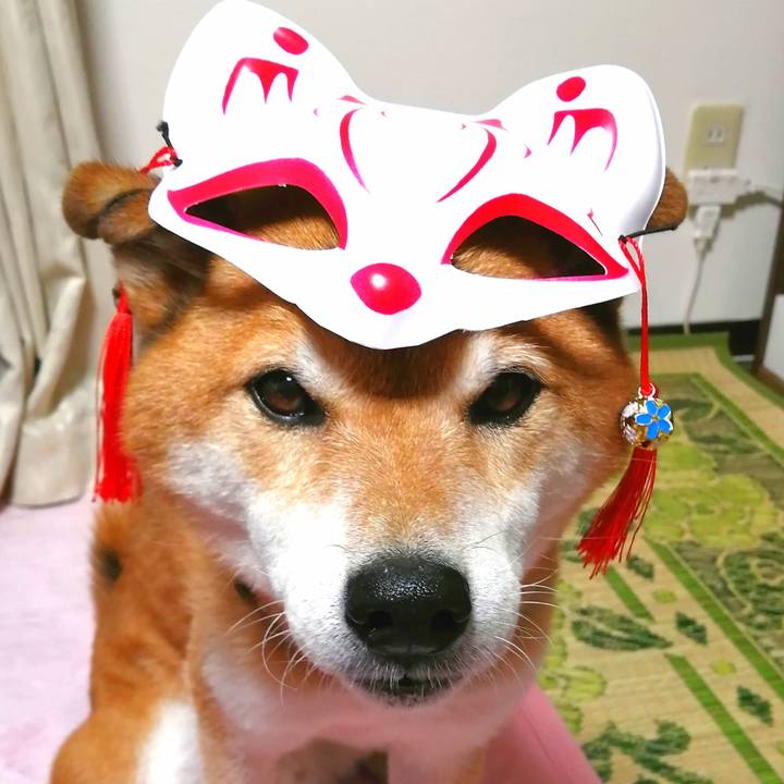 645aed38 978e 48f1 a9ca 58e8e62966c9 1668078351537