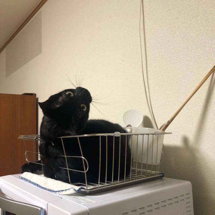 645af97a 03f9 466e aeb5 c27c5b09ee3a 1580386960092