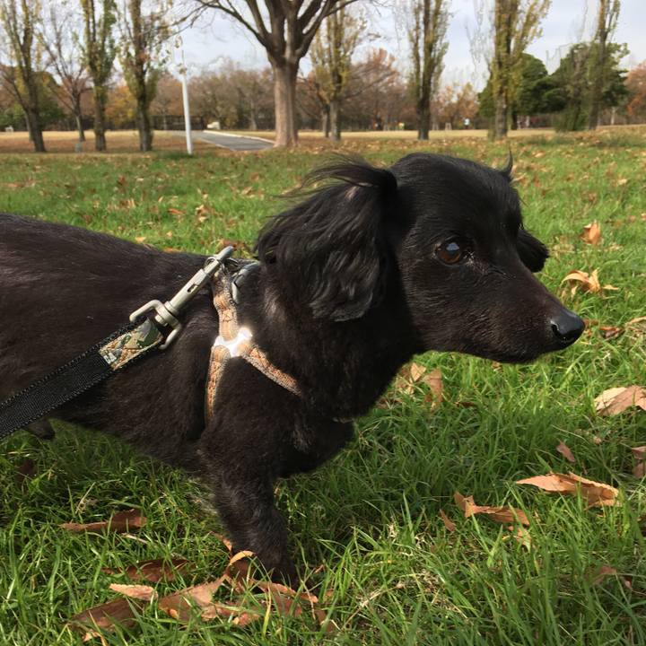 645b00c1 665f 4ea5 ad69 819410236a05 1544323859163