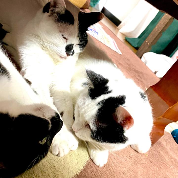 645b0a8b 793a 41a2 ae03 f95d7d451826 1636791832239