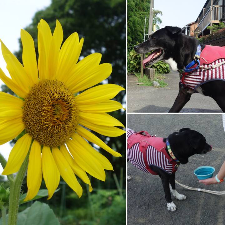 645b23fe b397 4e28 8994 87baad598252 1687049372270