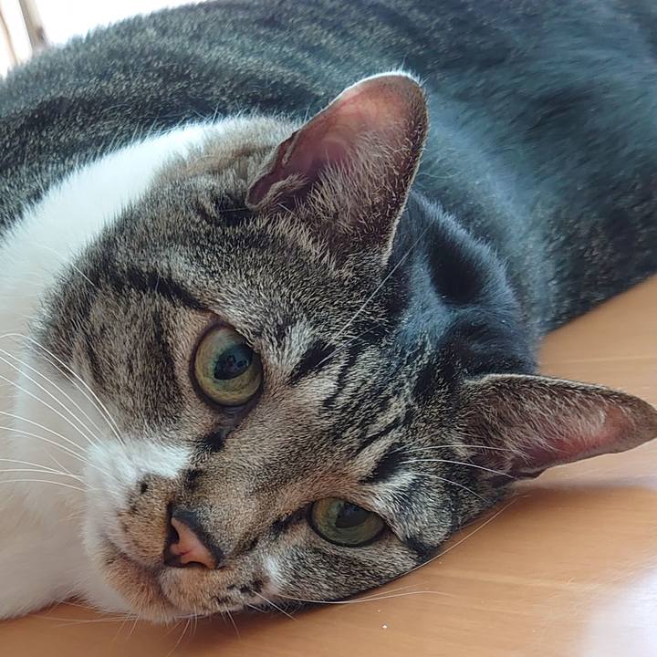 645b35fd 9ffc 4f2e 80cb 5d550dc441a0 1628907505963