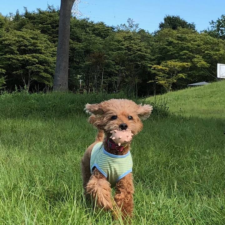 645b3768 e722 4f42 a605 9ceecf7fe381 1568858921717