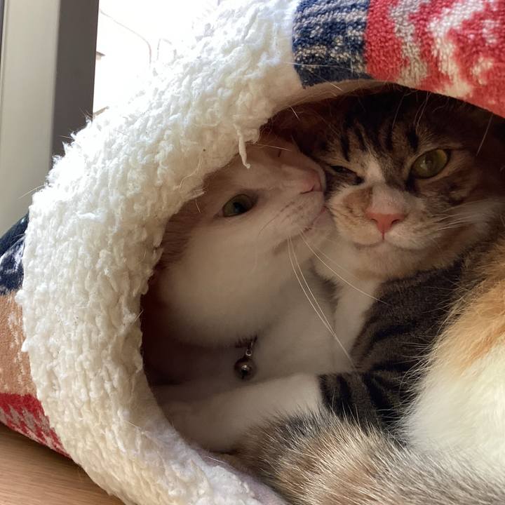 645b385e 280a 4b7b 82d5 aea9e4582b0d 1689478067418