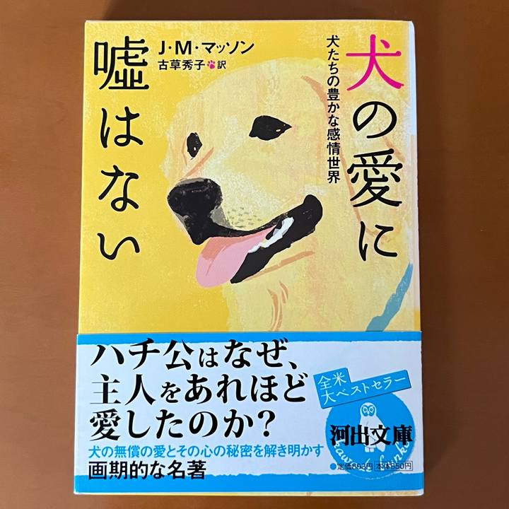 645b63e6 4468 46c2 840b 15c722c3015f 1661305686938