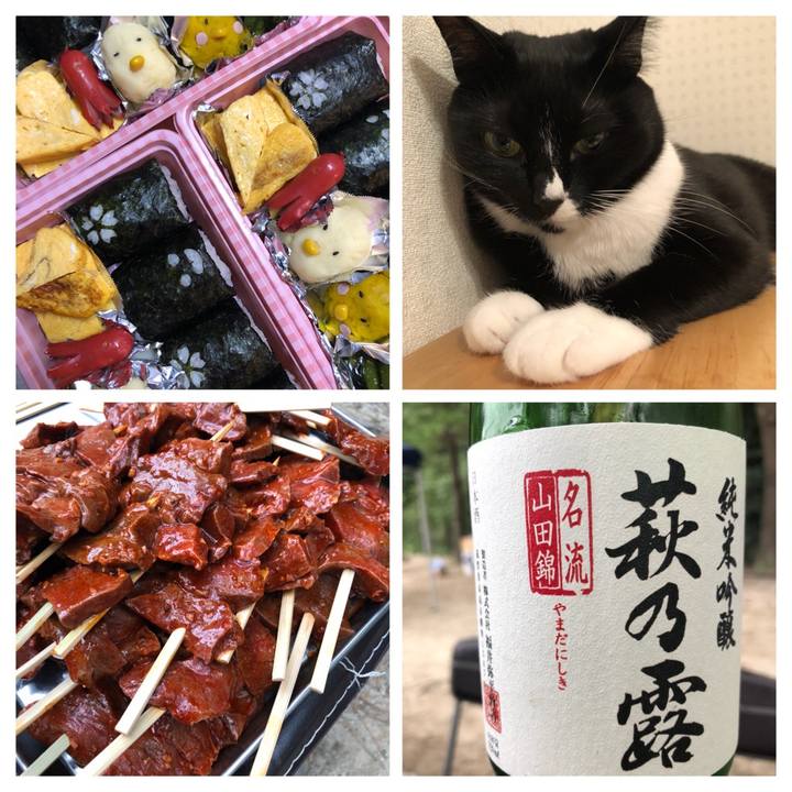 645b7441 0abe 493a b6e2 d2f9f765fa43 1537825860485