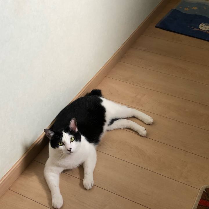 645ba1f9 7f04 44a3 a869 269dea08a1c4 1560394018023