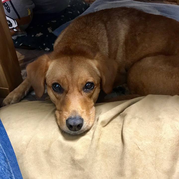 645bab54 086a 4882 96ac adac3de66053 1539343455096