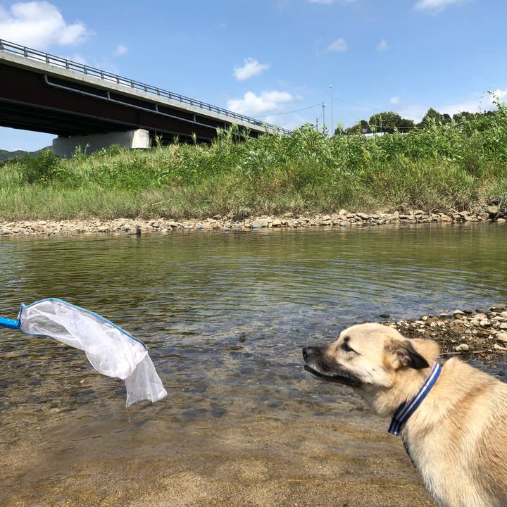 645bb714 5533 4c9c 8ac3 7ce4f01afaf8 1534663058170