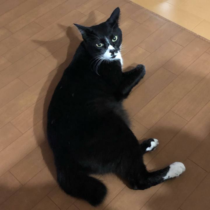 645bf5e9 3893 4f47 8443 5366bb027de3 1567655411317