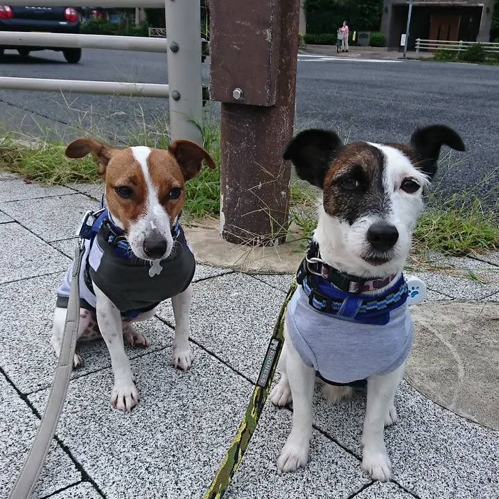 645bf9ce 511d 4b6a b3fb 50ea1d819637 1537047309026