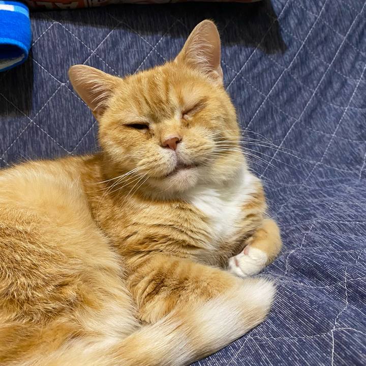 645c520e 50c7 4a4a b663 f036e69dc493 1642480429886