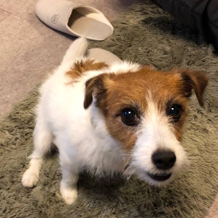 645c6d55 9db1 4709 b8e6 8a0c07d54f03 1604591888816