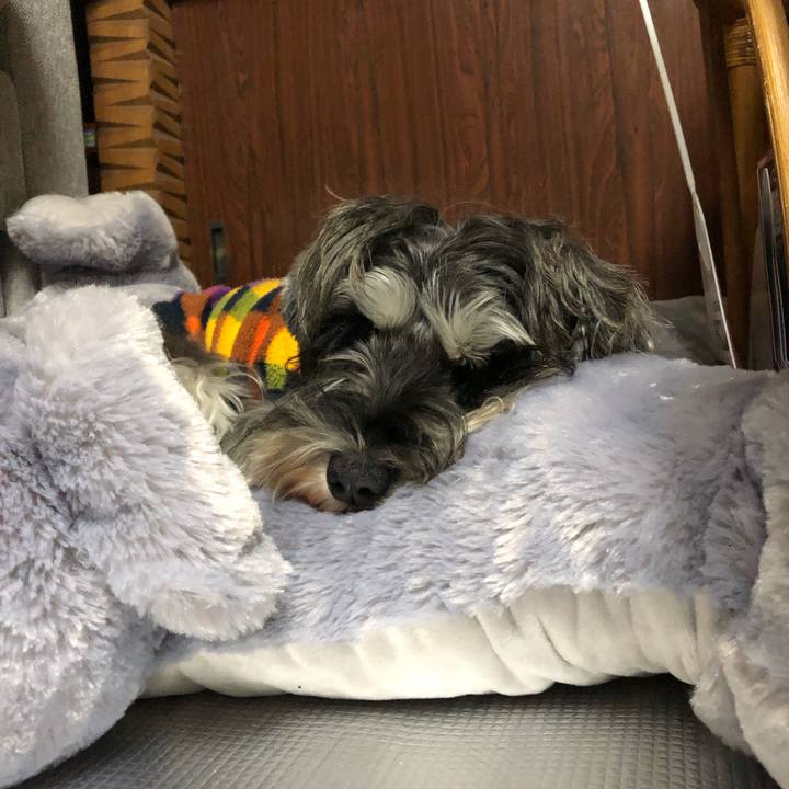 645c9b2b 05e6 4ee6 9563 4dd69c87aec4 1574342122002