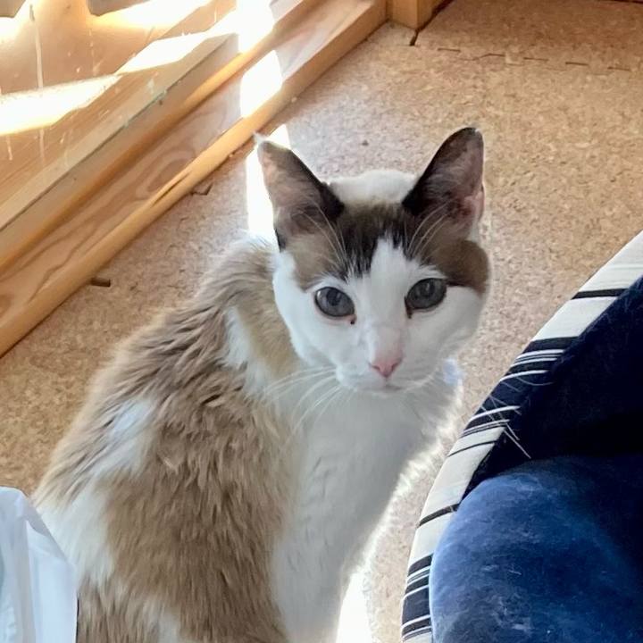 645c9bc3 9954 4eb6 9b8b cbf438e85791 1677553052063