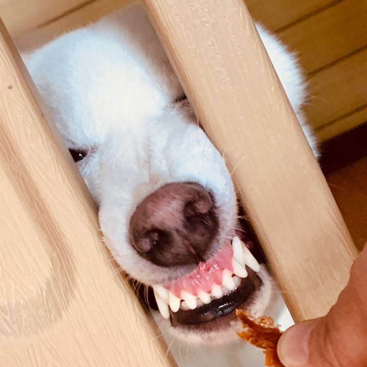 645ce53e 3867 4f3d 9366 d03097b35d43 1568612695484