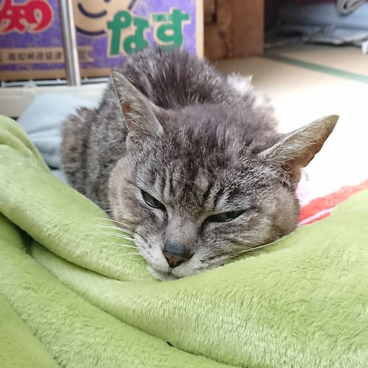 645ce88d 1207 4a20 9eb6 e9ae6dc1c55b 1593035626916