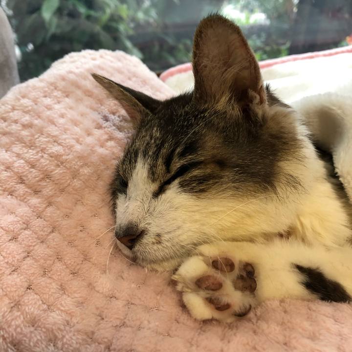 645d081d 0b7f 47dd a9de f05bbd8e045c 1585704047225