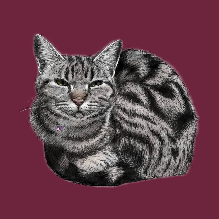 645d1d58 35fb 46f0 9398 93833478c3d2 1573740673158