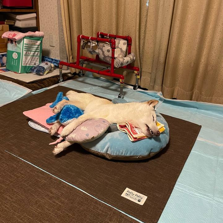 645d54b1 800e 428b a194 b9330f6b92d4 1661527821237