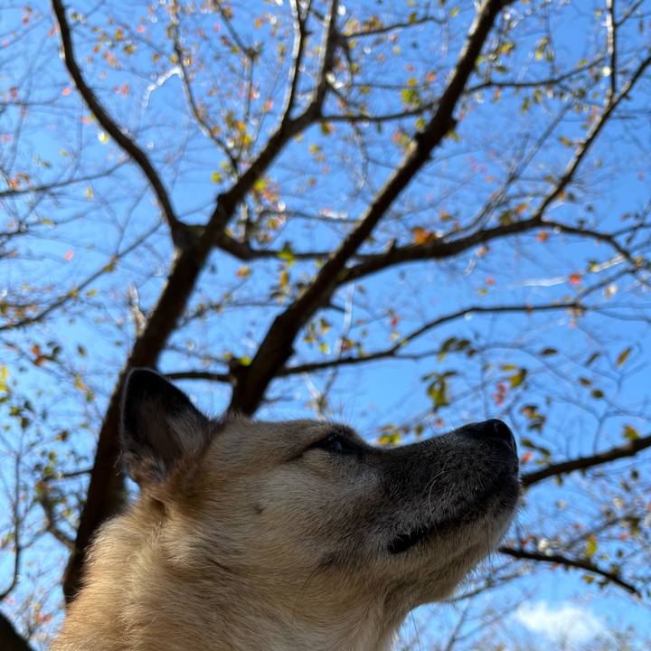 645d910a c46e 4aba bf38 0f060980a583 1762171232140