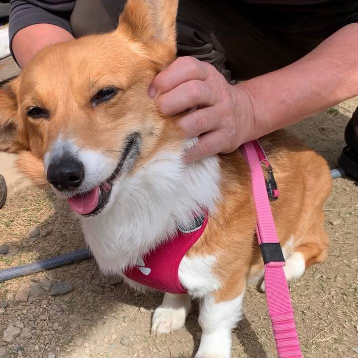 645d947d e7d0 43c7 b644 ab3d39473586 1648450267938