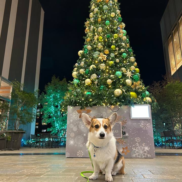 645ddb32 428e 451c 93b6 214bdfdbbaad 1763218200216