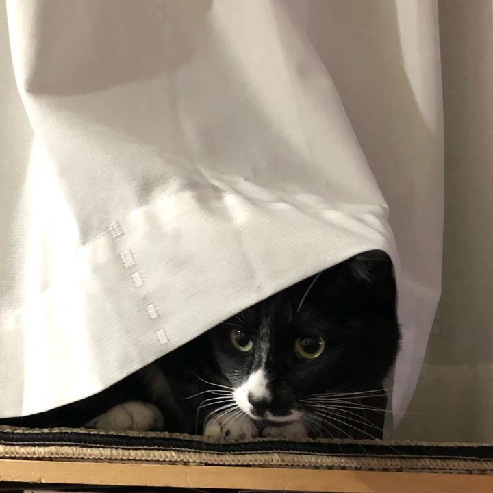 645e012f 9ac1 4bbb a3a5 09bab1d44872 1547887742420