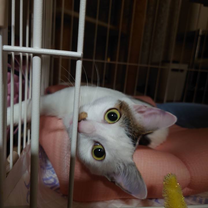 645e1629 08bd 4c23 91b3 a64449429b1a 1691079351120