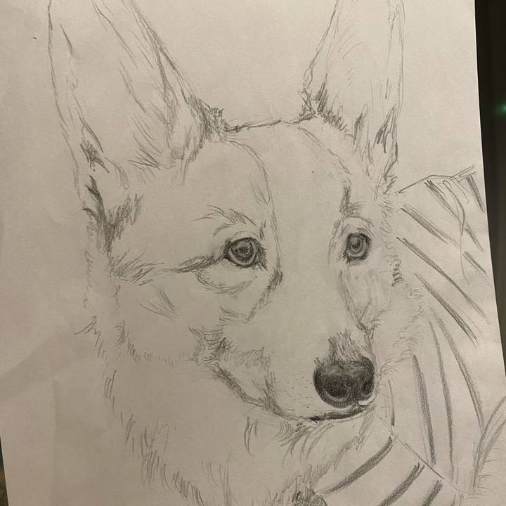 645e2461 8ae2 4656 8f71 4507ed21ae6c 1609495651910